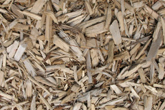 biomass boilers Listooder
